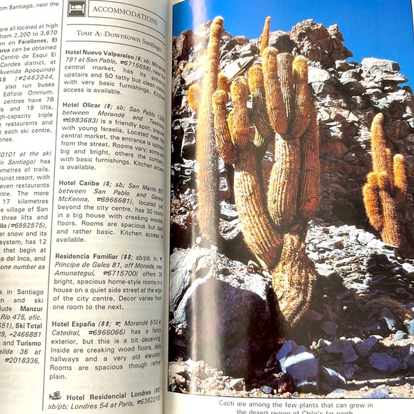 Chile Ulysses Travel Guide - Picture 6 of 16